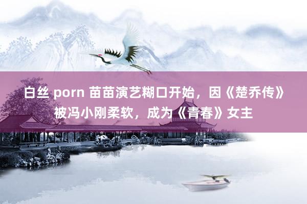 白丝 porn 苗苗演艺糊口开始，因《楚乔传》被冯小刚柔软，成为《青春》女主