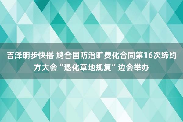 吉泽明步快播 鸠合国防治旷费化合同第16次缔约方大会“退化草地规复”边会举办