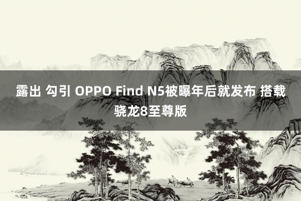 露出 勾引 OPPO Find N5被曝年后就发布 搭载骁龙8至尊版