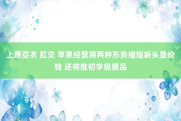 上原亞衣 肛交 苹果经营用两种形势缩短新头显价钱 还将推初学级居品