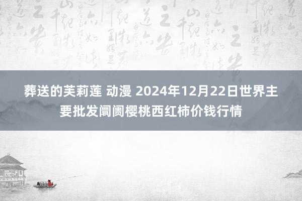 葬送的芙莉莲 动漫 2024年12月22日世界主要批发阛阓樱桃西红柿价钱行情