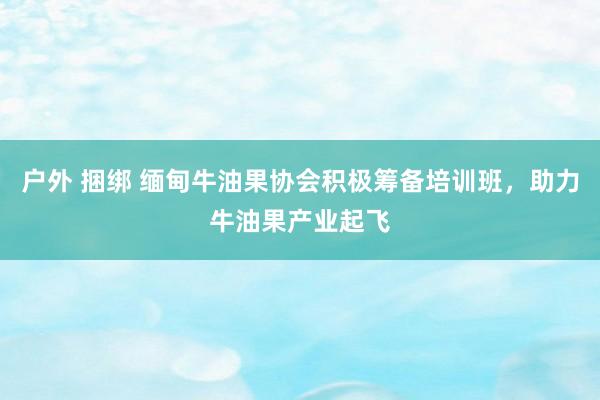 户外 捆绑 缅甸牛油果协会积极筹备培训班，助力牛油果产业起飞