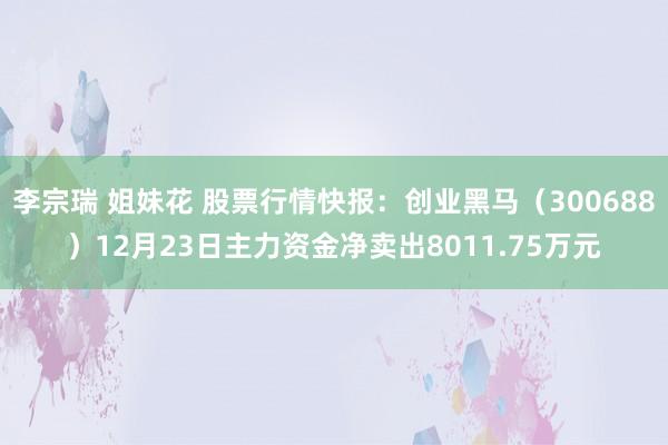 李宗瑞 姐妹花 股票行情快报：创业黑马（300688）12月23日主力资金净卖出8011.75万元