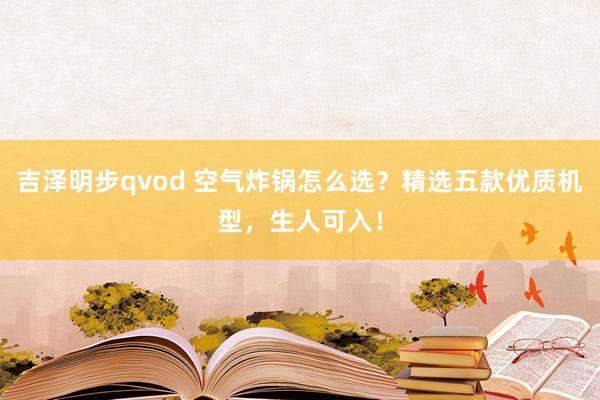 吉泽明步qvod 空气炸锅怎么选？精选五款优质机型，生人可入！