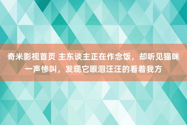 奇米影视首页 主东谈主正在作念饭，却听见猫咪一声惨叫，发现它眼泪汪汪的看着我方