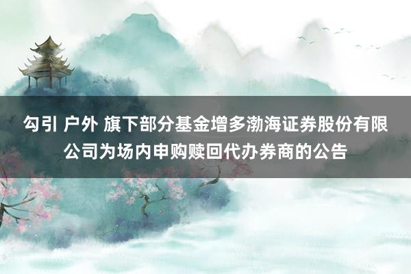 勾引 户外 旗下部分基金增多渤海证券股份有限公司为场内申购赎回代办券商的公告