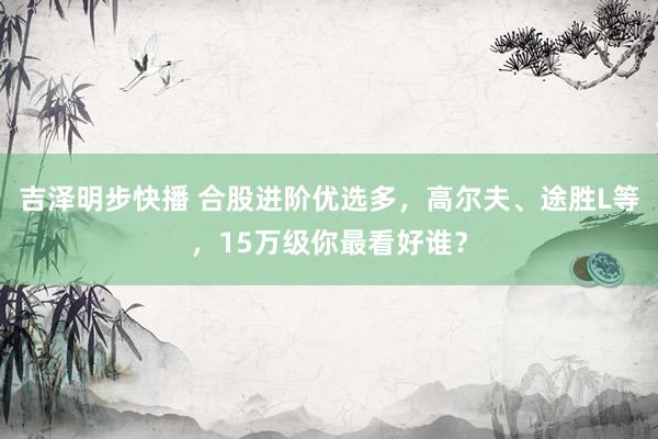 吉泽明步快播 合股进阶优选多，高尔夫、途胜L等，15万级你最看好谁？