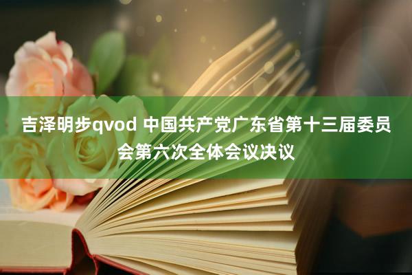 吉泽明步qvod 中国共产党广东省第十三届委员会第六次全体会议决议