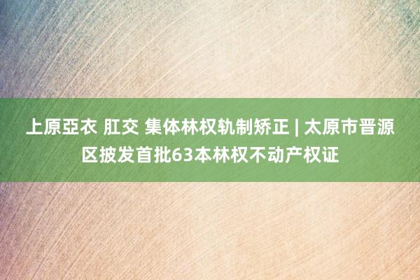 上原亞衣 肛交 集体林权轨制矫正 | 太原市晋源区披发首批63本林权不动产权证