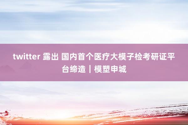 twitter 露出 国内首个医疗大模子检考研证平台缔造｜模塑申城