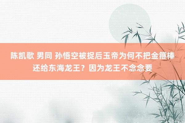 陈凯歌 男同 孙悟空被捉后玉帝为何不把金箍棒还给东海龙王？因为龙王不念念要