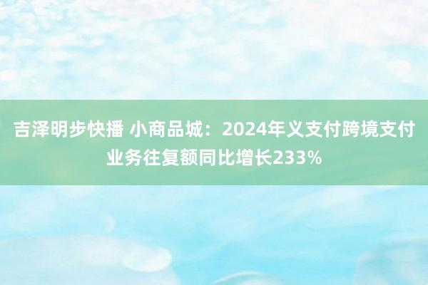 吉泽明步快播 小商品城：2024年义支付跨境支付业务往复额同比增长233%