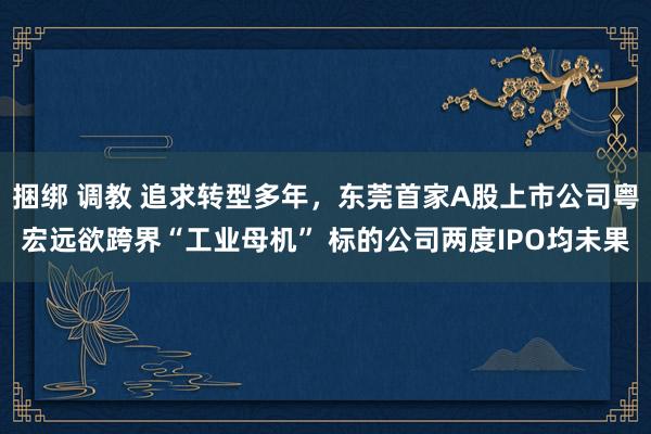 捆绑 调教 追求转型多年，东莞首家A股上市公司粤宏远欲跨界“工业母机” 标的公司两度IPO均未果