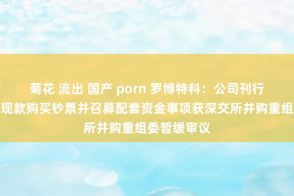 菊花 流出 国产 porn 罗博特科：公司刊行股份及支付现款购买钞票并召募配套资金事项获深交所并购重组委暂缓审议