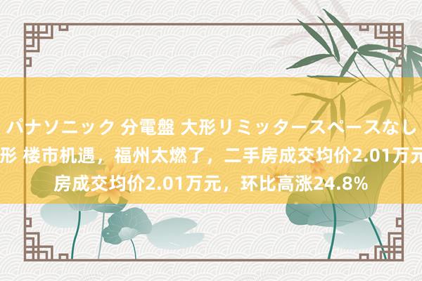 パナソニック 分電盤 大形リミッタースペースなし 露出・半埋込両用形 楼市机遇，福州太燃了，二手房成交均价2.01万元，环比高涨24.8%