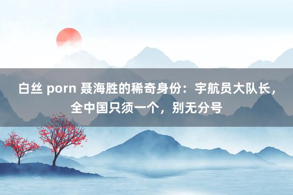 白丝 porn 聂海胜的稀奇身份：宇航员大队长，全中国只须一个，别无分号