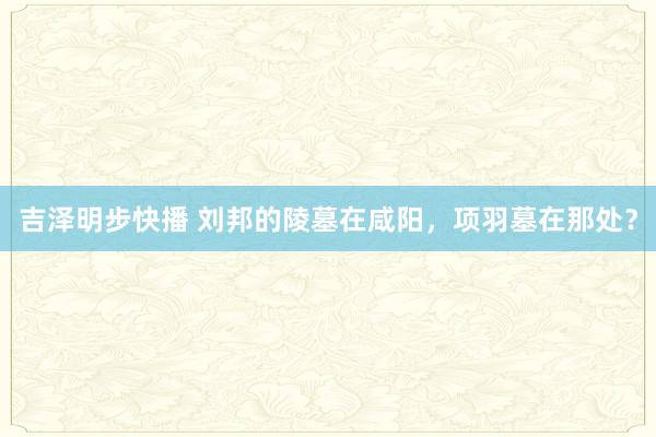 吉泽明步快播 刘邦的陵墓在咸阳，项羽墓在那处？