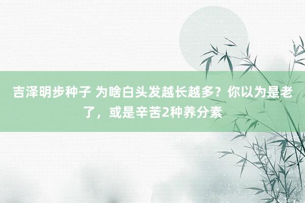 吉泽明步种子 为啥白头发越长越多？你以为是老了，或是辛苦2种养分素