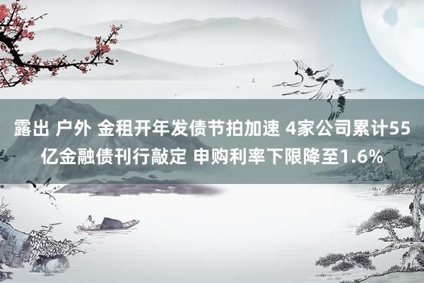 露出 户外 金租开年发债节拍加速 4家公司累计55亿金融债刊行敲定 申购利率下限降至1.6%