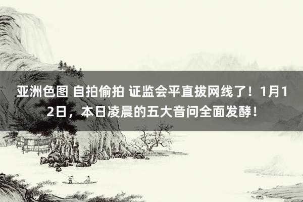 亚洲色图 自拍偷拍 证监会平直拔网线了！1月12日，本日凌晨的五大音问全面发酵！