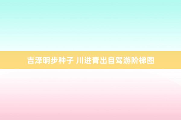 吉泽明步种子 川进青出自驾游阶梯图