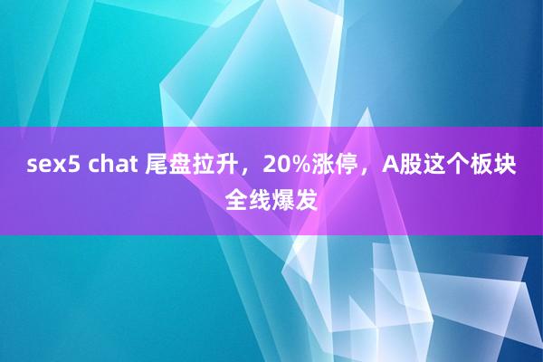 sex5 chat 尾盘拉升，20%涨停，A股这个板块全线爆发